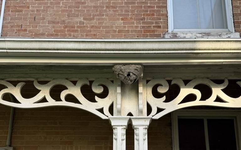 Enclosed grey paper nest beneath porch eaves, above a white decorative support on a brick house